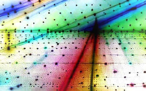 The Numbers Tether Removed: A Q2 Attestation, a Halved Buffer, and the Quiet Arithmetic of Trust The Numbers Tether Removed: A Q2 Attestation, a Halved Buffer, and the Quiet Arithmetic of Trust