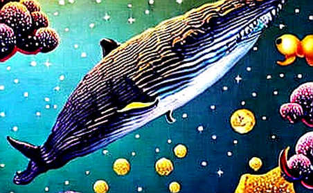Coinbase's Tokenized Stocks on Base: The Math Whispers What the Network Shouts