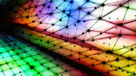 The Empty Audit: Why Information Gaps Are the Real Black Swan
