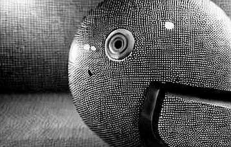 The Palhinha Conundrum: Tracing the Liquidity Ghost in the Transfer Machine