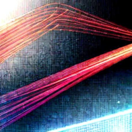 The 138:1 Subsidy Gap: Why 10 Layer-1 Networks Are Running on Financial Life Support
