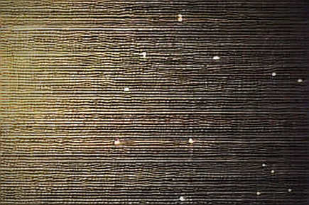 When Solar Panels Dream of Data Centers: Sunrun, DePIN, and the Macro Mirage of Distributed Compute