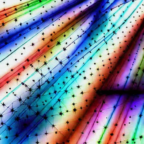The 387,830 LINK 'Accumulation' Is a Custody Migration, Not a Conviction Trade: A Forensic Teardown