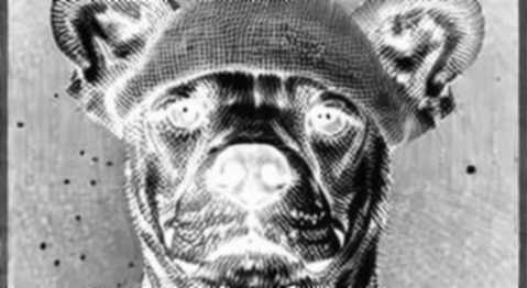 Aave's Monad Rush: $100M in 48 Hours — Is This Real Adoption or Just Another Incentive Mirage?