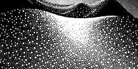The Silence of the Ledger: When 'N/A' Becomes the Loudest Signal The Silence of the Ledger: When 'N/A' Becomes the Loudest Signal