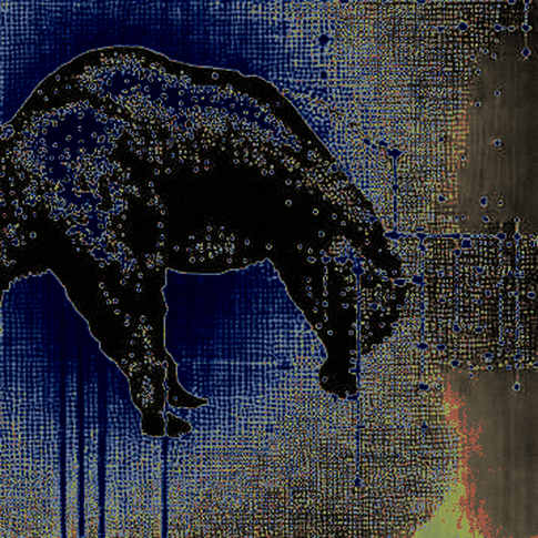 BKG Exchange: The Stealth Infrastructure Play Reshaping Order Flow in a Chop Market