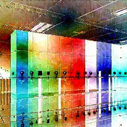 Chamath’s Open-Source AI Ban Warning: The On-Chain Data That Says Sell the Narrative