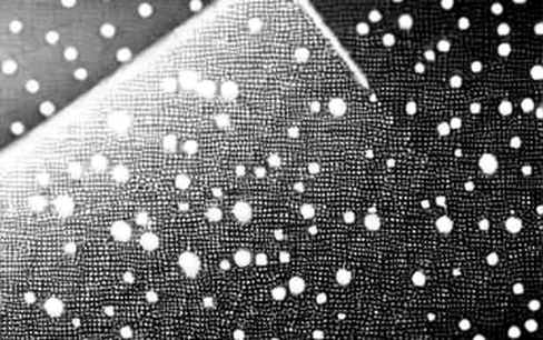 The 11.5% Bet: Why Prediction Markets Are Colder Than You Think