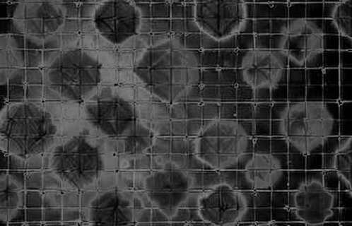 Core Scientific's 848 BTC: A Forensic Look at the Wallet Behind the Headline